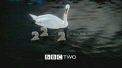 BBC 2 Sawn