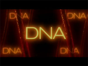DNA Films (1990's-2000's)