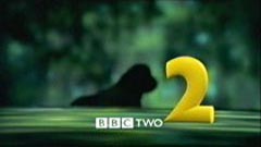 BBC 2 Gorilla