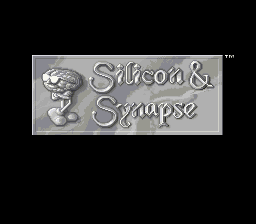 Silicon & Synapse (1992)