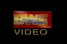 BWE Video (1995)