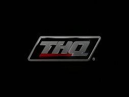 THQ Current Logo (2006)