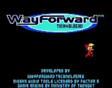 WayForward Technologies (2001)