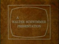 Walter Schwimmer Presentation