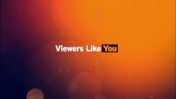 Viewers Like You (2010)