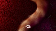 BBC Two ID - Comforting (2018)
