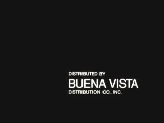 Buena Vista Distribution Co. Inc. (1982)