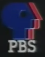 PBS Print Logo (Blue and Red, 1988)