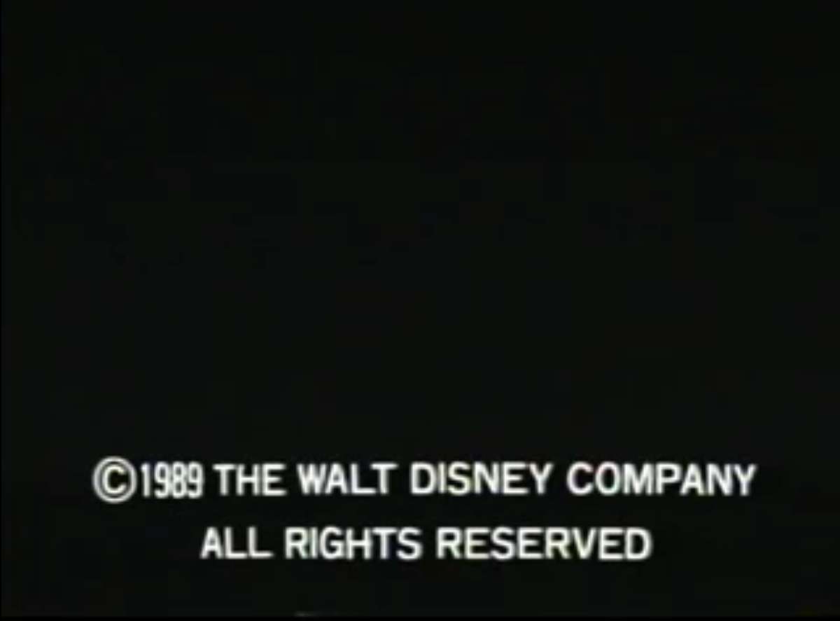 Walt Disney Company (1989)