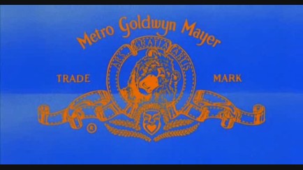 Metro-Goldwyn-Mayer Pictures - Soul Plane (2004)
