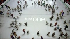 BBC 1 Penguins
