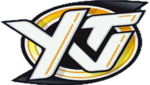 YTV 5th Print Logo