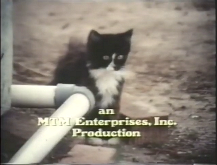 MTM Enterprises Inc. (1974)