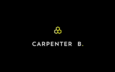 Carpenter B (2016)