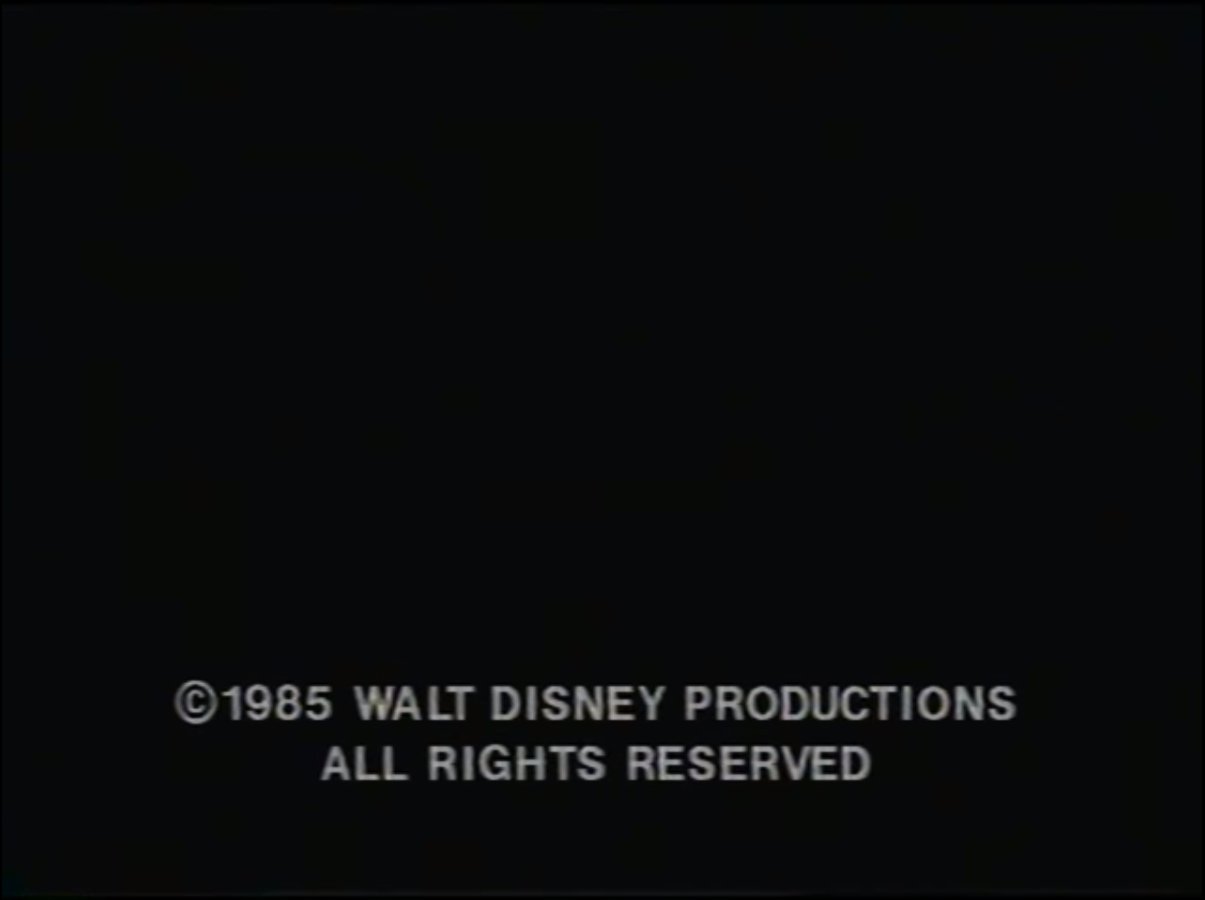 Walt Disney Company (1985)
