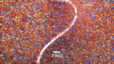 BBC Two ID - Sparky (2019)