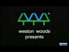 Weston Woods Presents (1996-present)