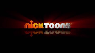 Nicktoons Network (2010)