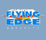 Flying Edge (1991)