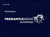 FremantleMedia Enterprises (2006)