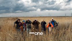 BBC One ID - Birdwatchers, Rainham Marshes (version 2) (2017)