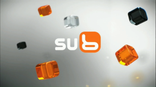 Sub (2011-2013)