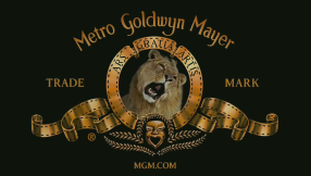 MGM 2008