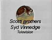 Scotti-Vinnedge TV: 1980