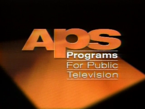 American Program Service (1990s)