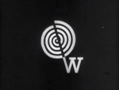 The Wolper Organization (1964)