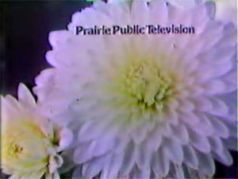 Prairie Public TV (1980-1989?, flower)