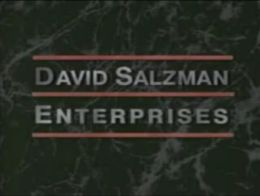 David Salzman Enterprises (1991)