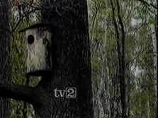 TV2 (1986)