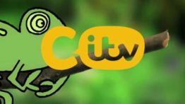 CITV (Chameleon, 2013)