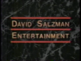 David Salzman Entertainment (1992)