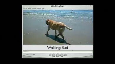 Walking Bud Productions (2004)