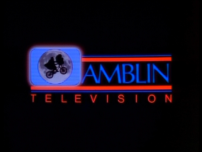 Amblin Television (1991)