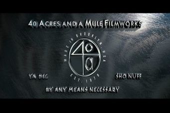 40 Acres and a Mule Filmworks (2006)