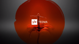 Yle Teema (2012-2017)