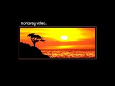 Monterey Video (2004)