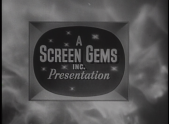 Screen Gems Presentation