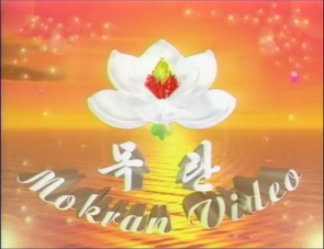 Mokran Video logo 2