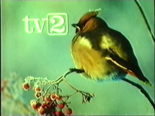 TV2 (January 13, 1986)