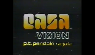 Casa vision 2nd logo