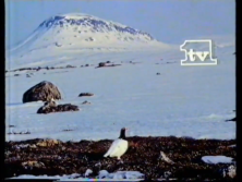 TV1 (14.2.1986)