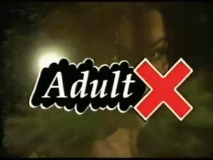 AdultX, Inc. (1990s)