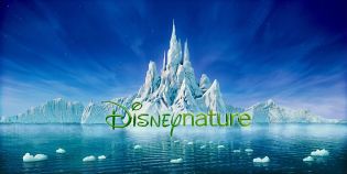 Disneynature (2009)