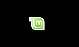 Linux Mint 17 Boot Screen (2015)
