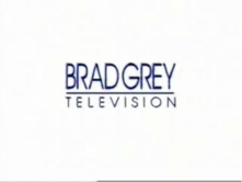 Brad Grey Television (2001, White-Blue)