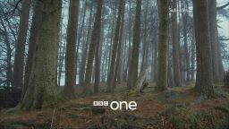 BBC One ID - Forest (2017)